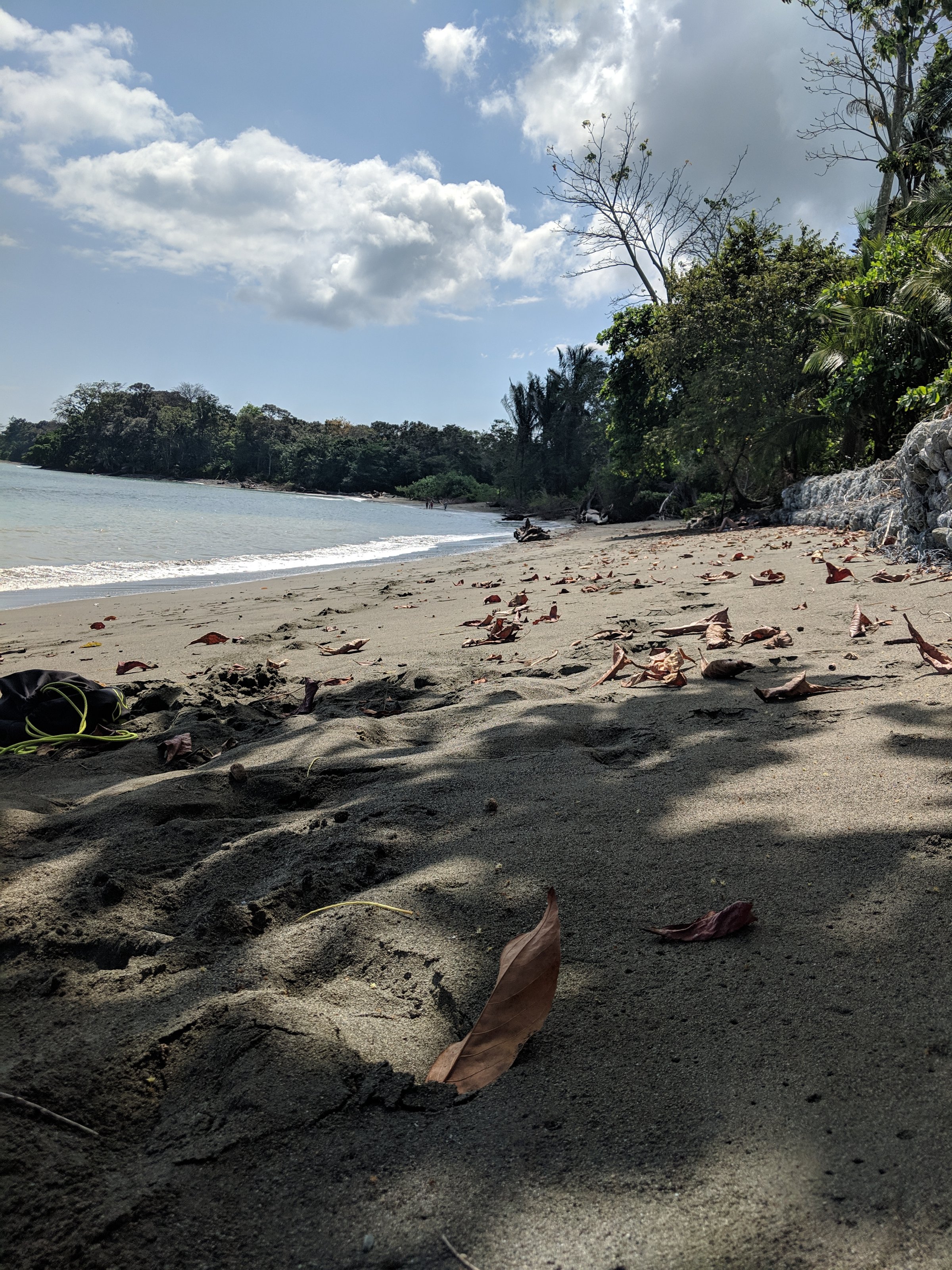 A quiet crescent of dark volcanic sand and gentle surf curves along a lush, palm-lined coastline under a bright blue sky with scattered clouds.