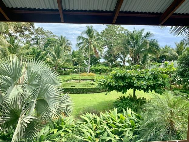 View from under a wooden roof overhang across a manicured tropical lawn with a circular hedge labyrinth, fan palms, and tall coconut palms at Blue Osa under a bright partly cloudy sky.
