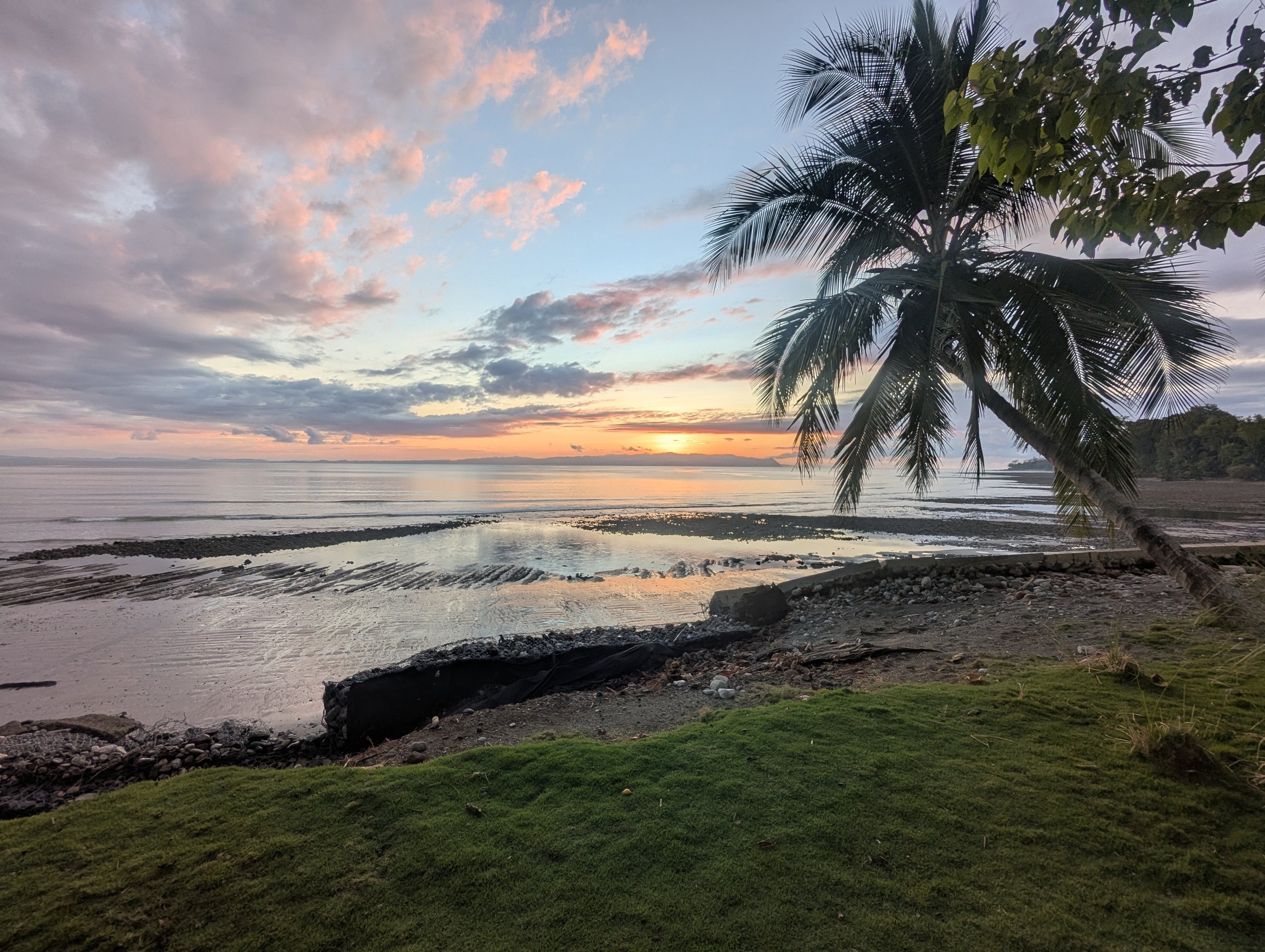 Golden sunset over a rocky Pacific beach with a leaning palm tree and pink-orange clouds at Blue Osa, Costa Rica.