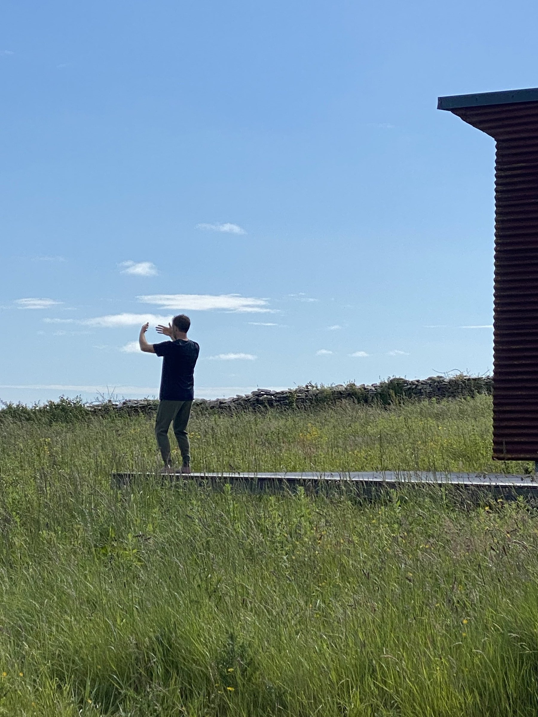 A person gestures with outstretched hands while standing on a wooden walkway through tall green grass.