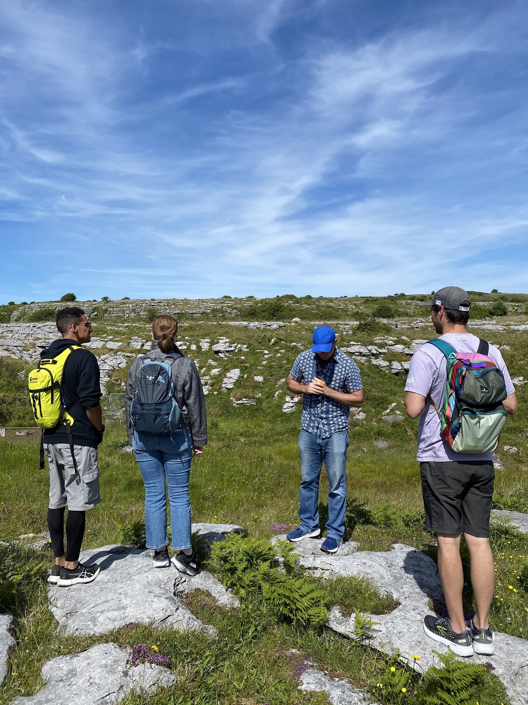 Four hikers with colorful backpacks stand on a rocky, flower-dotted hillside beneath a bright blue sky with wispy clouds.
