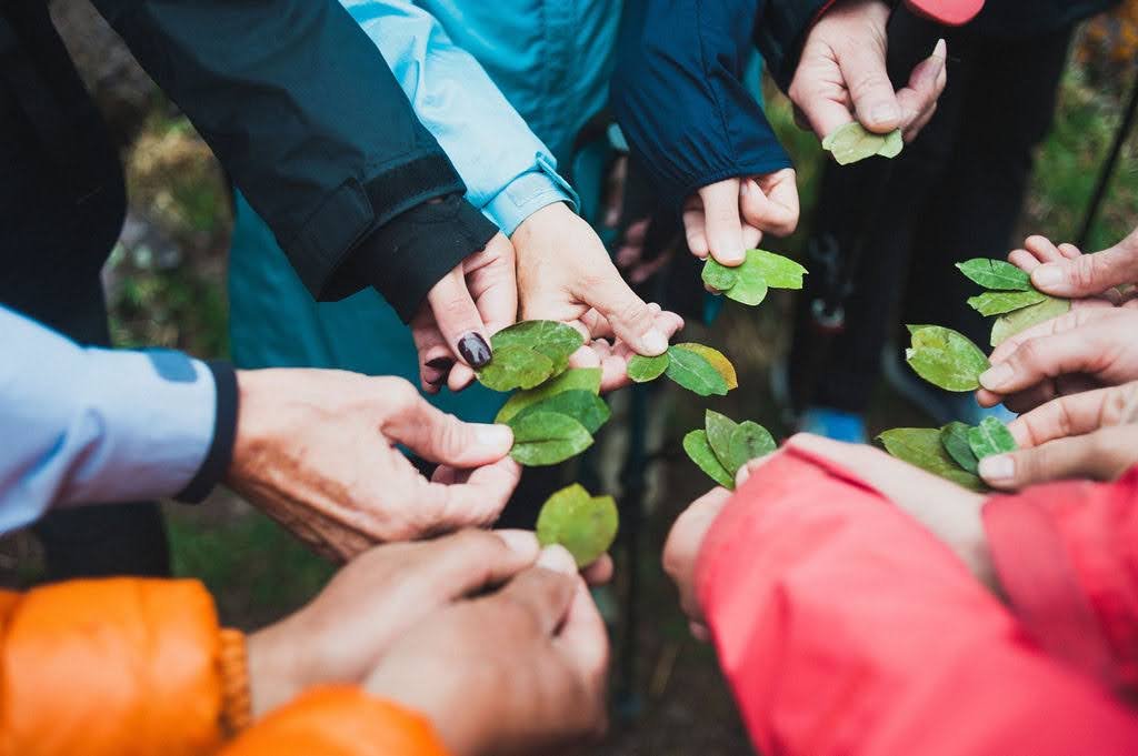 Retreat participants hold green coca leaves in their hands during a traditional ceremony on a mountain trail in the Sacred Valley.